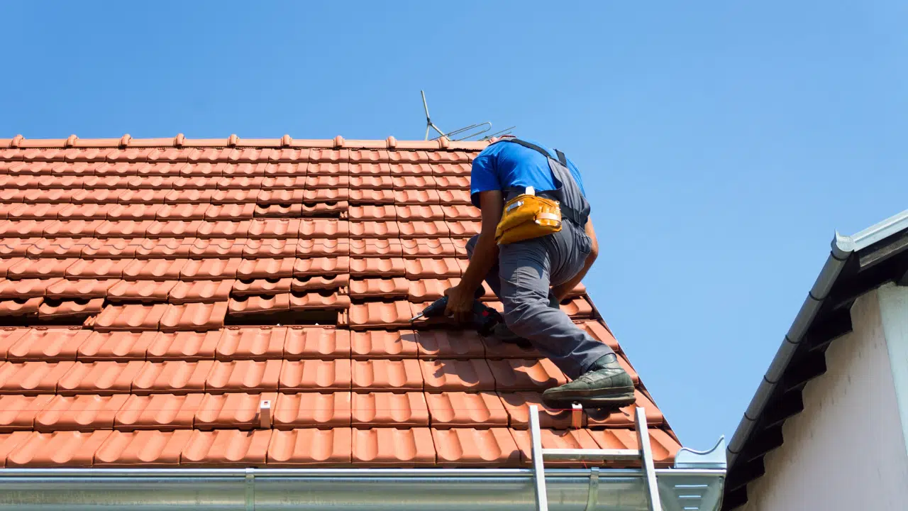 How to Tell If Your Roof Has Hail or Wind Damage